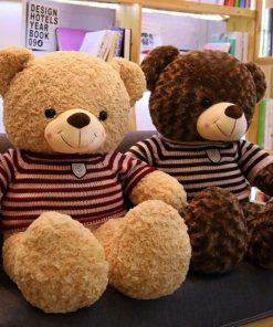gấu teddy